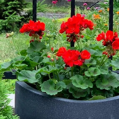 Mona Lisa Apartman *